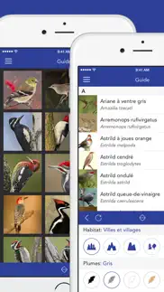 les oiseaux 2 pro - usa iPhone Captures Décran 2