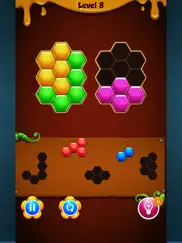 honeycomb puzzle - game iPad Captures Décran 3