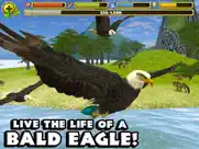 eagle simulator ipad images 1
