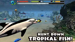 dolphin simulator iphone resimleri 4