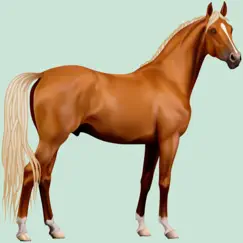 horse breeds quizzes revisión, comentarios