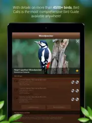 bird songs - bird call & guide ipad images 2
