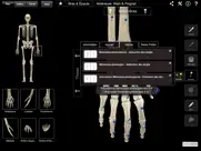 skeleton system pro iii iPad Captures Décran 4