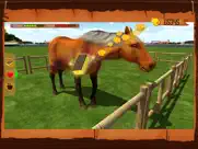 horse show jumping challenge iPad Captures Décran 4