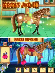 horse hair salon ipad images 4