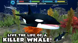 orca simulator iphone images 1