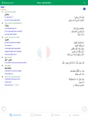 dictionnaire d'arabe larousse айпад изображения 4