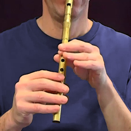 Tin Whistle Pro app reviews download