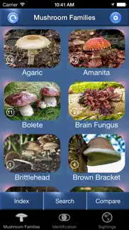 mushroom id north america iphone images 1