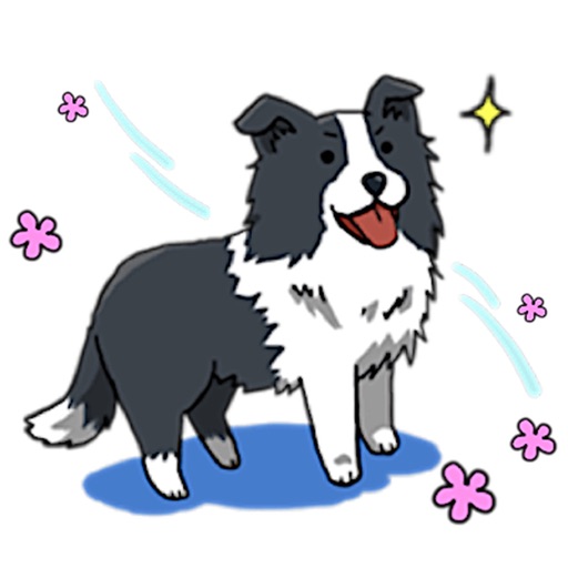 Cute Border Collie Dog Sticker app reviews download