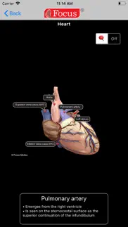 heart - digital anatomy iphone images 4