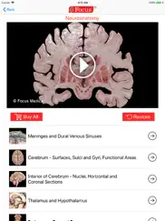 neuroanatomy - digital anatomy ipad images 2