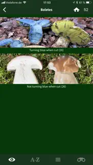 mushroom guide british isles iphone images 3
