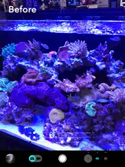 aquarium camera iPad Captures Décran 1