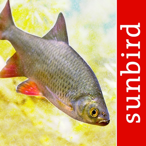 Fish Id - Freshwater Fish UK app reviews download