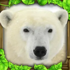 polar bear simulator inceleme, yorumları