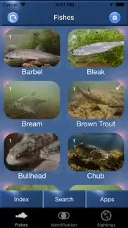 fish id - freshwater fish uk iphone images 1