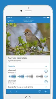 aves pro hd iphone capturas de pantalla 3