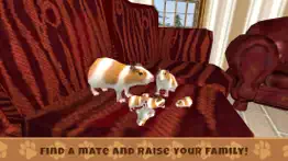 guinea pig simulator game iphone images 3