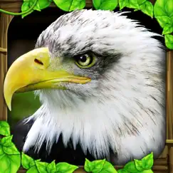 eagle simulator logo, reviews