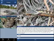reptile id - uk field guide ipad images 3