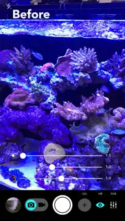 aquarium camera iphone images 1