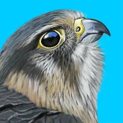 ibird uk pro guide to birds logo, reviews