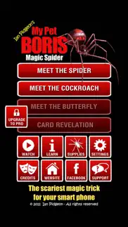 magic spider - my pet boris iphone resimleri 1