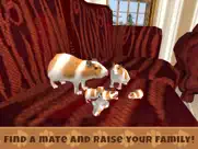 guinea pig simulator game ipad images 3