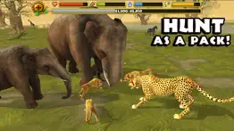cheetah simulator iphone images 2