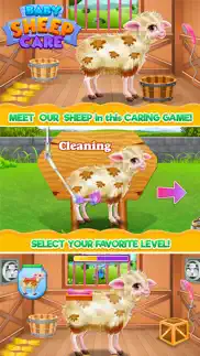 baby sheep care iphone images 1
