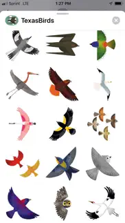 texas birds sticker pack iphone images 1