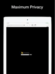 hive private browser ipad images 2