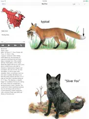 mammals of north america ipad images 3