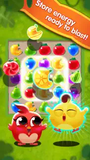 chicken fruit splash iphone images 3