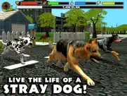 stray dog simulator ipad resimleri 1
