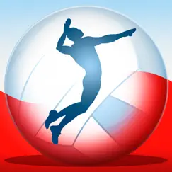 volleyball championship 2014 logo, reviews