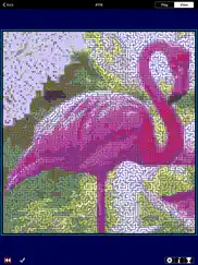 pathpix color ipad images 3
