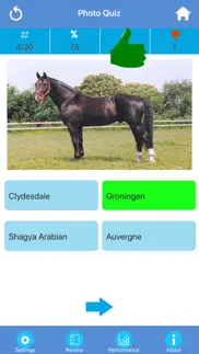 horse breeds quizzes iphone capturas de pantalla 2