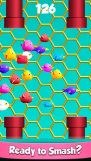 cool birds game - fun smash iphone images 1