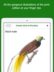 birds of new guinea ipad images 2