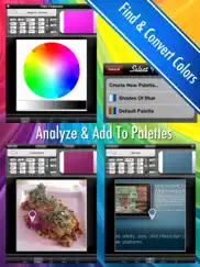 compañero de colores - analizador y el convertidor ipad capturas de pantalla 1