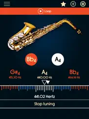 saxophone tuner ipad images 3