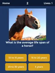 horse quiz by haygrazer ipad images 2
