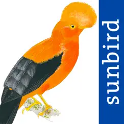 all birds northern peru logo, reviews