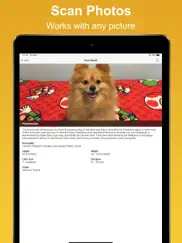 dog scan - breed identifier ipad images 3