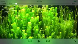 aquarium videos 4k iPhone Captures Décran 1