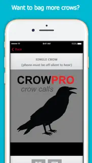 crow calls for hunting iphone images 1