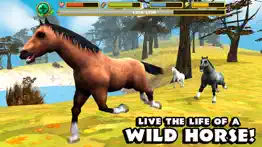 wild horse simulator iphone resimleri 1