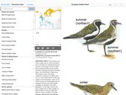 eastern europe birds ipad images 3